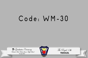 WM-30